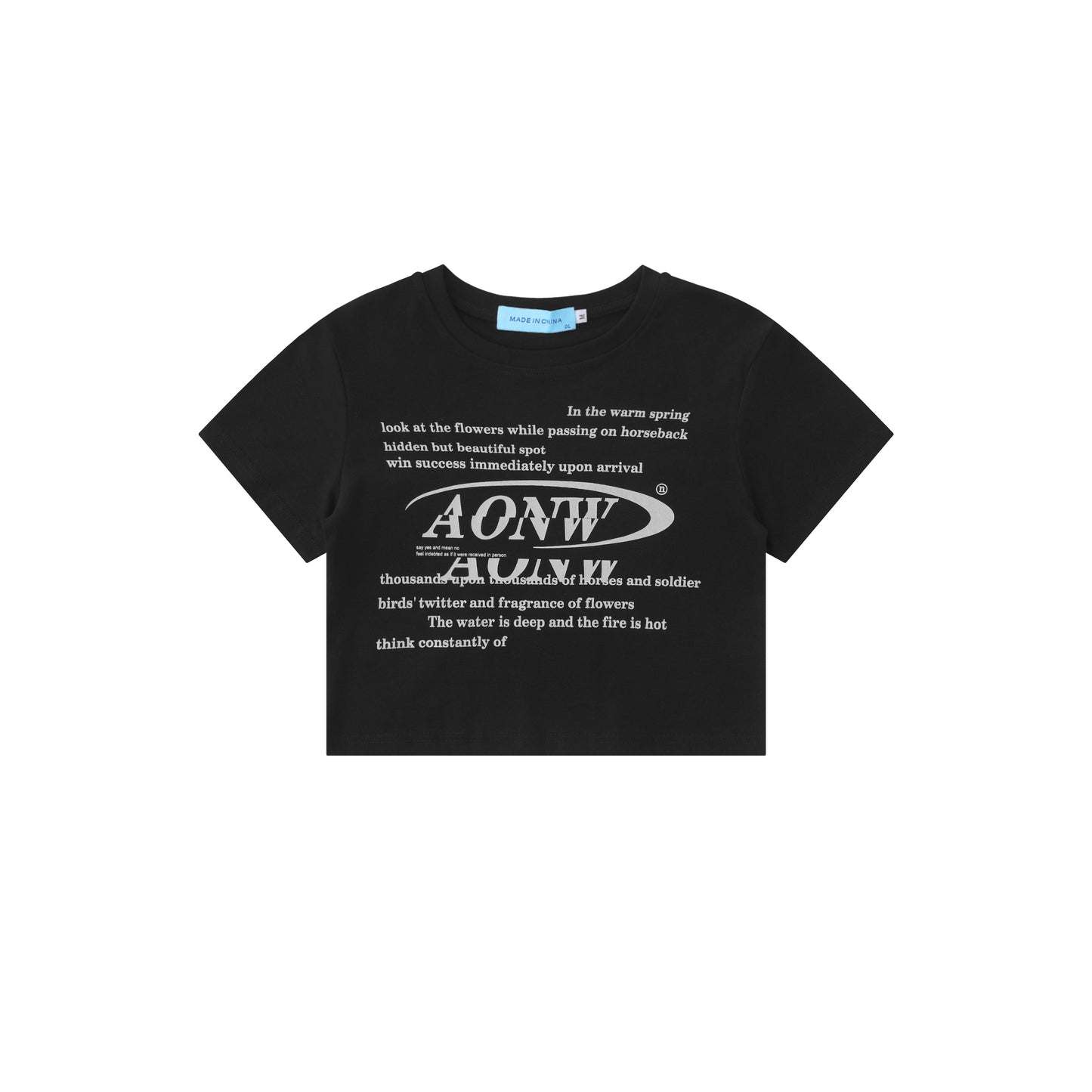 AONWロゴT AON213