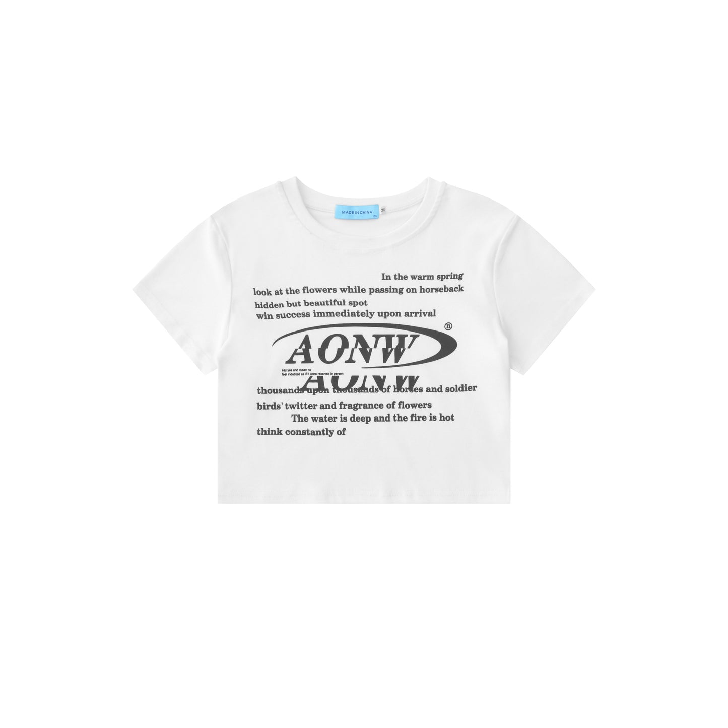 AONWロゴT AON213